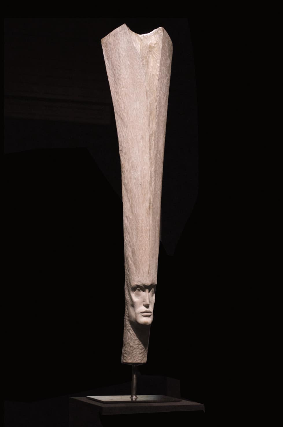 " Vertical White", marronnier, 24 x 15 x 110 cm, 2017 - Pièce unique